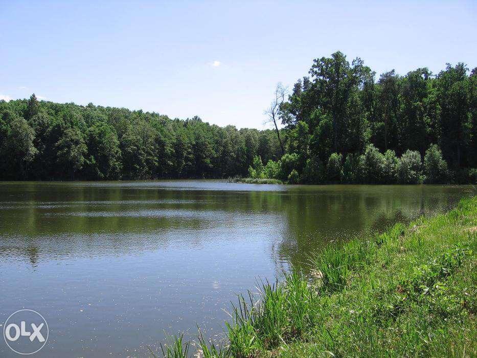 Holiday Home Rayskiy Ugolochek Kvitki Zewnętrze zdjęcie