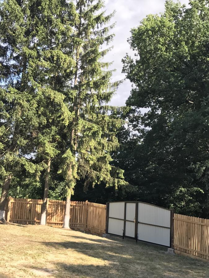 Holiday Home Rayskiy Ugolochek Kvitki Zewnętrze zdjęcie