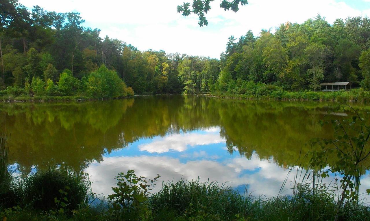 Holiday Home Rayskiy Ugolochek Kvitki Zewnętrze zdjęcie