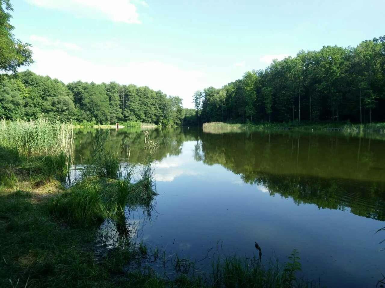 Holiday Home Rayskiy Ugolochek Kvitki Zewnętrze zdjęcie